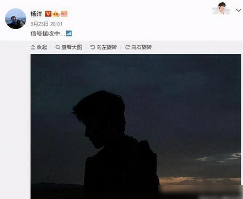 李沁杨洋圈内爆料,揭秘娱乐圈背后的真实故事  第2张