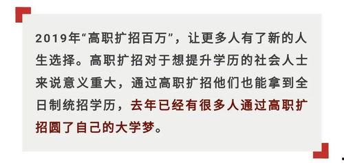 广西河池新闻爆料平台,聚焦民生热点，揭示社会现象  第3张